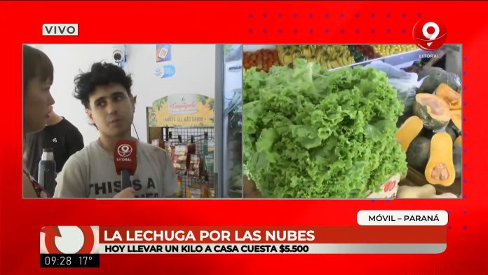 Canal 9 Litoral visitó una verdulería en la capital entrerriana ante el aumento de los vegetales de hoja verde. Los precios y por qué aumentó.