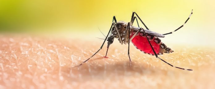 El Ministerio de Salud de la provincia de Entre Ríos informó la cantidad de casos de dengue en la última semana.
