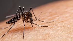 Epidemia de dengue en el país.