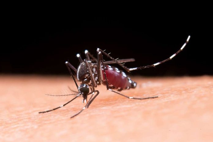 Hubo 2072 casos de dengue en la provincia la última semana.